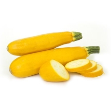 Zucchini - Yellow